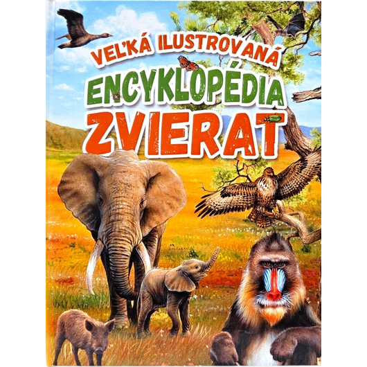 Hlavný obrázok produktu